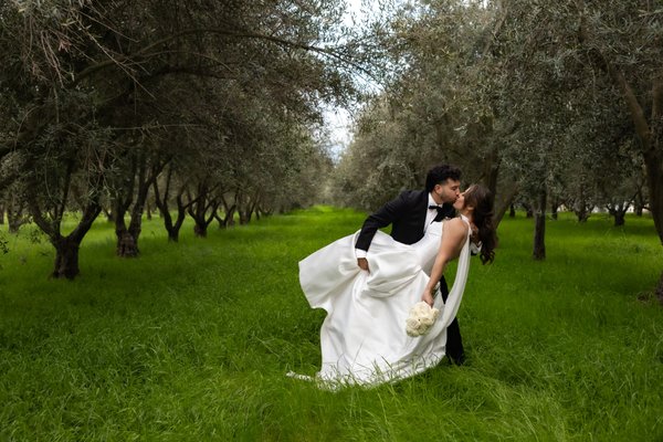 Editorial Olive Orchard Wedding Portraits - Elegant and Timeless bride and groom portraits in the olive Orchards at Wolfe Heights Estate, capturing candid moments and details throughout their wedding day. Editorial Olive Orchard Wedding Portraits - Elegant and Timeless bride and groom portraits in the olive Orchards at Wolfe Heights Estate, capturing candid moments and details throughout their wedding day.