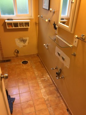 New Pedestal Sink and Dual-Flush Toilet. - My dear friends wanted to update their bathroom so I installed a New Pedestal Sink & a Dual Flush Toilet. New Pedestal Sink and Dual-Flush Toilet. - My dear friends wanted to update their bathroom so I installed a New Pedestal Sink & a Dual Flush Toilet.
