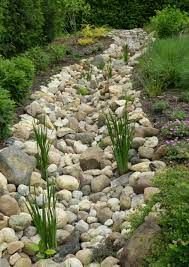Drainage - This client needed to solve water entering their home and causing constant mud in the yard. We installed rain barrels connected to the roof downspouts for collecting water and repurposing it for gardening.
A dry creek bed carries water to the rain garden. Then the rain garden soaks up all of the water within 24 hours, which guarantees you won't have a mosquito problem.
If you want to solve your drainage problem in the most eco-friendly manner, we are the pros and can make that vision a reality. Drainage - This client needed to solve water entering their home and causing constant mud in the yard. We installed rain barrels connected to the roof downspouts for collecting water and repurposing it for gardening.
A dry creek bed carries water to the rain garden. Then the rain garden soaks up all of the water within 24 hours, which guarantees you won't have a mosquito problem.
If you want to solve your drainage problem in the most eco-friendly manner, we are the pros and can make that vision a reality.