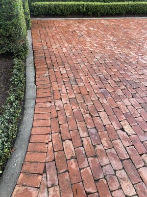 Brick cleaning - Mildew removal on brick driveway Brick cleaning - Mildew removal on brick driveway