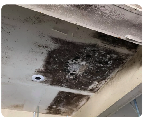Mold Remediation - From the moment you call us, we work with you every step of the way to ensure that your property is thoroughly assessed and restored in a timely and cost-effective manner. We’ll arrive at your property with state-of-the-art equipment that allows us to locate moisture meters & damage detection in your ceiling, drywall, and floors beyond what’s visible with the naked eye. You can count on us to detect mold on walls and assess for mold toxicity. Mold Remediation - From the moment you call us, we work with you every step of the way to ensure that your property is thoroughly assessed and restored in a timely and cost-effective manner. We’ll arrive at your property with state-of-the-art equipment that allows us to locate moisture meters & damage detection in your ceiling, drywall, and floors beyond what’s visible with the naked eye. You can count on us to detect mold on walls and assess for mold toxicity.