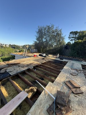 Re-Roof: Los Angeles - This home received a full roofing upgrade from the structure up
- including brand-new rafters, fascia, and plywood to strengthen the roof system and ensure long-term durability.
To finish it off, we installed a torch-down roofing system designed to provide superior waterproofing and protection for many years to come.
At Real Bros Roofing, we don't cut corners - we build it right the first time.
Real work. Real results. Re-Roof: Los Angeles - This home received a full roofing upgrade from the structure up
- including brand-new rafters, fascia, and plywood to strengthen the roof system and ensure long-term durability.
To finish it off, we installed a torch-down roofing system designed to provide superior waterproofing and protection for many years to come.
At Real Bros Roofing, we don't cut corners - we build it right the first time.
Real work. Real results.