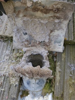 Another dryer vent cleaning - Don't let this hazard ruin your home by fire. A dryer vent not cleaned and has build up like this one can waste money by causing your dryer to run longer, shorted the life of your dryer, and destroy your home by fire. Get your dryer vent inspected and cleaning regularly. This customer was checking off his home maintenance list for a home he just had moved into so he called us for a dryer vent cleaning. Dryer vent cleaning is sometimes overlooked and is one the most dangerous overlooked home maintenance tasks. Another dryer vent cleaning - Don't let this hazard ruin your home by fire. A dryer vent not cleaned and has build up like this one can waste money by causing your dryer to run longer, shorted the life of your dryer, and destroy your home by fire. Get your dryer vent inspected and cleaning regularly. This customer was checking off his home maintenance list for a home he just had moved into so he called us for a dryer vent cleaning. Dryer vent cleaning is sometimes overlooked and is one the most dangerous overlooked home maintenance tasks.