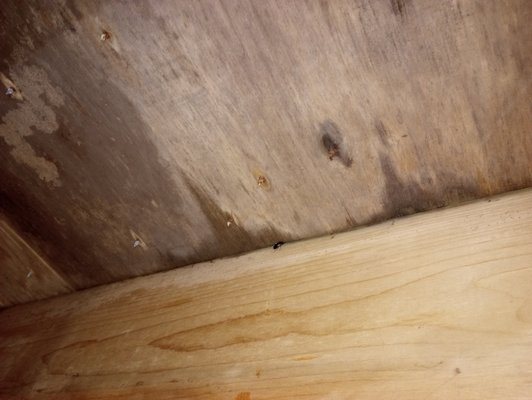 Customer has mold and has requested a mold treatment with encapsulation. - Our company goal is to make sure every home is a Healthy Home. Customer has mold and has requested a mold treatment with encapsulation. - Our company goal is to make sure every home is a Healthy Home.