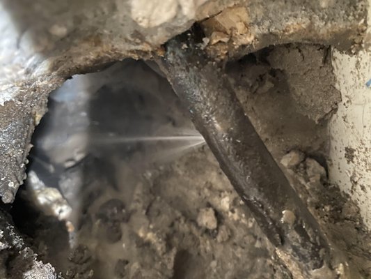 High Water Bill - This customer called us out to inspect his home after receiving a higher than average water bill from the city. After doing a full leak inspection on the home. We confirmed that the customer did have an active water leak. We used our equipment to get the leak located under his guest bathroom sink, below the concrete slab. After locating the slab leak, we reached out to local partner plumbing companies to insure someone came out for repairs same day and the right price. Leak Ops was honored to get this leak located and make sure the customer was in good hands every step of the way. High Water Bill - This customer called us out to inspect his home after receiving a higher than average water bill from the city. After doing a full leak inspection on the home. We confirmed that the customer did have an active water leak. We used our equipment to get the leak located under his guest bathroom sink, below the concrete slab. After locating the slab leak, we reached out to local partner plumbing companies to insure someone came out for repairs same day and the right price. Leak Ops was honored to get this leak located and make sure the customer was in good hands every step of the way.