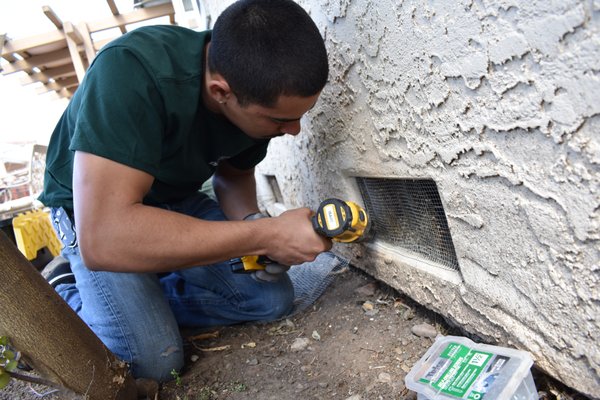 Rodent Proofing/Rodent Control - Rodent Proofing/Rodent Control Rodent Proofing/Rodent Control - Rodent Proofing/Rodent Control