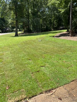 This was sod project done in Lagrange, Ga. - This area was a swore thumb of the front yard. It was a faint bare spot with no grass. I brought in 2cubic yard of top soil tiled it in and fix a wash out beside the driveway. Then laid 1,008 sqft of sod for the customer. This was sod project done in Lagrange, Ga. - This area was a swore thumb of the front yard. It was a faint bare spot with no grass. I brought in 2cubic yard of top soil tiled it in and fix a wash out beside the driveway. Then laid 1,008 sqft of sod for the customer.