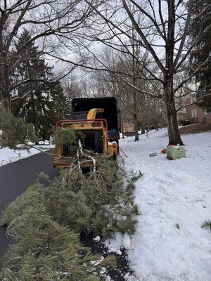 Broken branches - Broken branches during storm need to clean up through chipper fire easier convenience Broken branches - Broken branches during storm need to clean up through chipper fire easier convenience