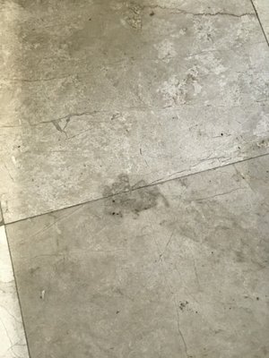 Redondo Beach - Crema Marfil marble floors were damaged, scratched, dirty and dull. We restored them to their original like shine and sealed it. 650 square feet+ project. Redondo Beach - Crema Marfil marble floors were damaged, scratched, dirty and dull. We restored them to their original like shine and sealed it. 650 square feet+ project.