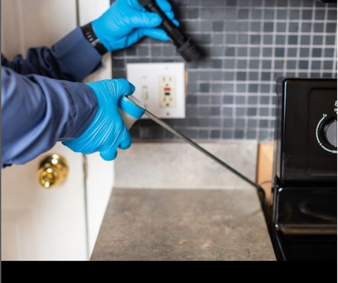 15% OFF Free Inspection , Free Estimate!! - No bugs Simply better It's easy to schedule an appointment with Randall Pest Solutions! ----> get a FREE inspection y FREE Estimate and 15 OFF , 🔹️🌱 Eco Friendly 🐶 Pet friendly Call 954-662-2719 15% OFF Free Inspection , Free Estimate!! - No bugs Simply better It's easy to schedule an appointment with Randall Pest Solutions! ----> get a FREE inspection y FREE Estimate and 15 OFF , 🔹️🌱 Eco Friendly 🐶 Pet friendly Call 954-662-2719