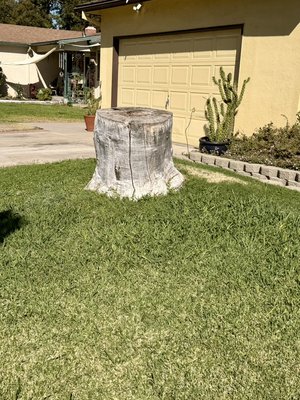 Stump grinding. - We did Stump grinding in Merced. Stump grinding. - We did Stump grinding in Merced.
