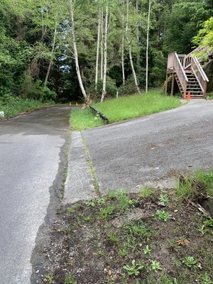 House clean up - This house was very overgrown from shrubs to grass and debris, but after getting in there and cleaning it, customer was very happy!! House clean up - This house was very overgrown from shrubs to grass and debris, but after getting in there and cleaning it, customer was very happy!!