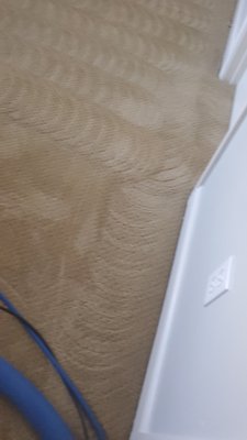 Residential Carpet Cleaning - YOU GET ALL THIS EVERY TIME:
 ♦Factory-authorized carpet cleaning
 ♦Sparkling clean tile and grout and sealing
 ♦Pet Stain Removal Specialist
 ♦Natural Stone Cleaning, Polishing, and Sealing
 ♦Amazing Reputation – Google-Yelp-Facebook-Nextdoor
 ♦Educated, Trained and Certified
 ♦Experienced in all flooring problems
 ♦Systems that go FAR beyond average cleaners
 ♦100% Guaranteed “If You’re Not Happy…It’s FREE!