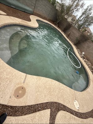 Pump repair to clear up pool! - This was a pool we took on for new service and the pump had broke down, we installed a new pump and within a couple days the pool cleared itself up! Pump repair to clear up pool! - This was a pool we took on for new service and the pump had broke down, we installed a new pump and within a couple days the pool cleared itself up!