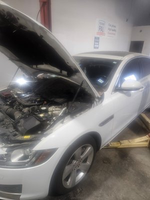 2018 Jaguar XF oil cooler - Customer Stated that the engine oil went into the coolant reservoir. She brought the car to us and we found out it was the oil cooler. We gave her a very reasonable price and she was very happy at the end. 2018 Jaguar XF oil cooler - Customer Stated that the engine oil went into the coolant reservoir. She brought the car to us and we found out it was the oil cooler. We gave her a very reasonable price and she was very happy at the end.