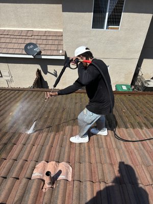 Roof cleaning - This roof had moss and algae growth that needed to be removed as well as antimicrobial treatment. Roof cleaning - This roof had moss and algae growth that needed to be removed as well as antimicrobial treatment.