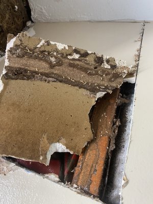 Termite Removal - We found a home with a high level of termite infestation, we worked with the customer to perform a full liquid treatment and then install a bait station prevention system.