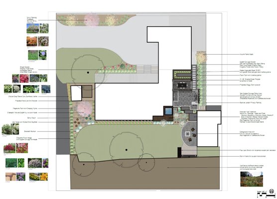 Full Landscape Design - Full landscape redesign