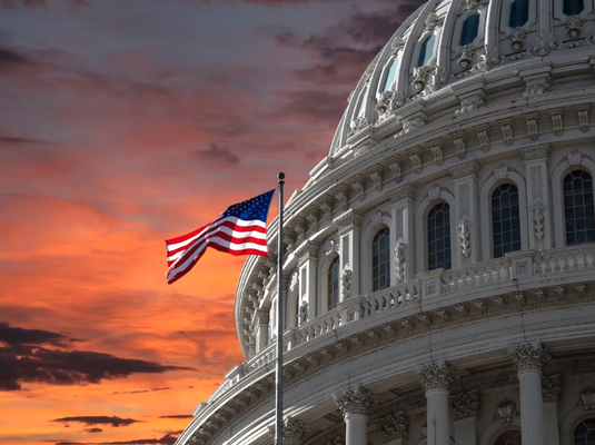 Washington DC Tours - We have trained and experienced drivers and Washington DC tour guides. We can provide a personal expedition through  Nation’s Capital. With the largest fleets of luxury motor coaches, executive sedans, limos, and shuttle buses. We can accommodate any group or occasion. Join us for a professionally guided experience.