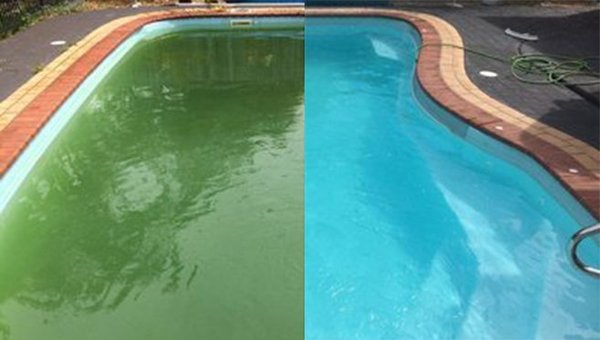 We'll handle even the toughest jobs! - From routine maintenance to deep cleans, Stewart's Pool Services has you covered. Call for a free estimate! We'll handle even the toughest jobs! - From routine maintenance to deep cleans, Stewart's Pool Services has you covered. Call for a free estimate!