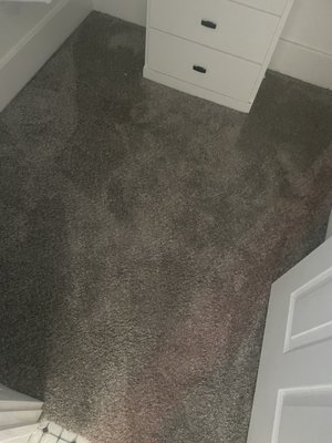 6bd  4ba move in deep cleaning with carpet cleaning - We did a deep cleaning of a 2 story 6bd 4ba home with optional window cleaning, oven cleaning ,and carpet cleaning.  Give us a call or text for your cleaning needs and we will make your home sparkle 5015361653!