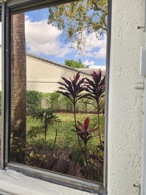 Window Cleaning - Clean windows brighten your space and enhance your view. Trust our professionals for a thorough clean that lets you enjoy the clear, unobstructed beauty of your surroundings. Window Cleaning - Clean windows brighten your space and enhance your view. Trust our professionals for a thorough clean that lets you enjoy the clear, unobstructed beauty of your surroundings.