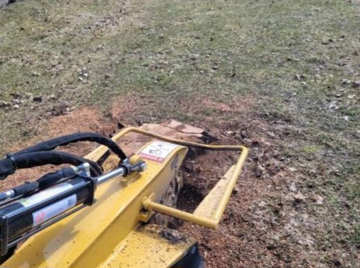 Stump Grinding / Stump Removal - The customer wanted a stump removed from their yard. Carter's Stump Grinding arrived at the location to examine the area. The stump was located in an area that met michigan laws and safety guidelines. A free estimate was given after measuring the stump. The estimate was approved by the customer to proceed. Stump Grinding / Stump Removal - The customer wanted a stump removed from their yard. Carter's Stump Grinding arrived at the location to examine the area. The stump was located in an area that met michigan laws and safety guidelines. A free estimate was given after measuring the stump. The estimate was approved by the customer to proceed.
