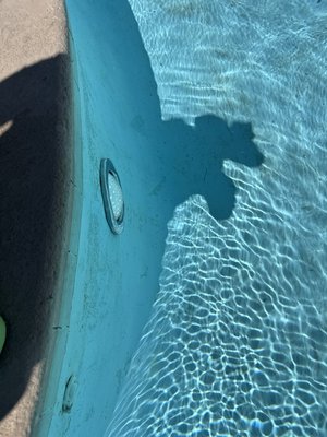 Reliable Pool Setvice - Routine pool cleaning and repairs
