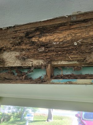 Termite Control in St. Johns, FL - We eliminate & prevent termites from infesting your home or business with proactive termite control from St Johns Pest Control. We use a highly effective termite treatment that starts working as soon as it’s strategically applied around your home or business. This will eliminate the worry and continue to work until it gets rid of the termite infestation and then keeps working to keep them away.