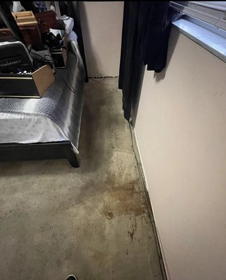 Before and After - Random stains and rugs at different locations Before and After - Random stains and rugs at different locations