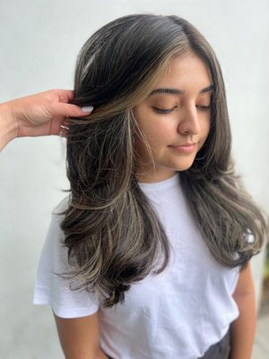 Color and Cut - Color and Cuts
