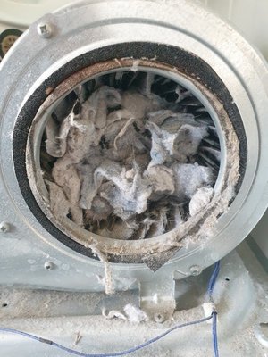 Dryer Maintenance - Cleaning
Clean the lint filter before and after each load of laundry. Don’t forget to clean the back of the dryer where lint can build up. In addition, clean the lint filter with a nylon brush at least every six months or more often if it becomes clogged.
Clean lint out of the vent pipe every three months.
Have your dryer cleaned regularly by a professional, especially if it is taking longer than normal for clothes to dry.
Maintenance
Inspect the venting system behind the dryer to ensure it is not damaged or restricted.
Put a covering on outside wall dampers to keep out rain, snow and dirt.
Make sure the outdoor vent covering opens when the dryer is on.
Replace coiled-wire foil or plastic venting with rigid, non-ribbed metal duct.
Have gas-powered dryers inspected every year by a professional to ensure that the gas line and connection are together and free of leaks.
Check regularly to make sure nests of small animals and insects are not blocking the outside vent.
Keep the area around the clothes dryer free of items that can burn. Dryer Maintenance - Cleaning
Clean the lint filter before and after each load of laundry. Don’t forget to clean the back of the dryer where lint can build up. In addition, clean the lint filter with a nylon brush at least every six months or more often if it becomes clogged.
Clean lint out of the vent pipe every three months.
Have your dryer cleaned regularly by a professional, especially if it is taking longer than normal for clothes to dry.
Maintenance
Inspect the venting system behind the dryer to ensure it is not damaged or restricted.
Put a covering on outside wall dampers to keep out rain, snow and dirt.
Make sure the outdoor vent covering opens when the dryer is on.
Replace coiled-wire foil or plastic venting with rigid, non-ribbed metal duct.
Have gas-powered dryers inspected every year by a professional to ensure that the gas line and connection are together and free of leaks.
Check regularly to make sure nests of small animals and insects are not blocking the outside vent.
Keep the area around the clothes dryer free of items that can burn.