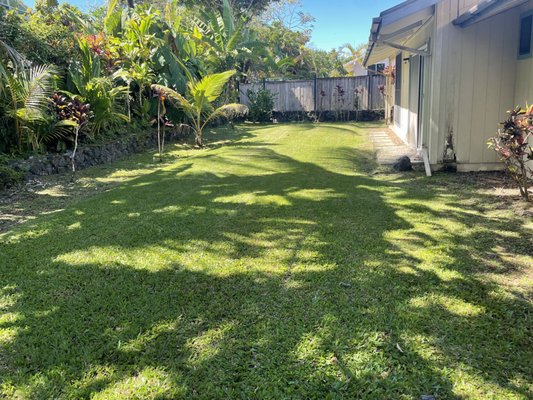 Front and Back Lawn Service - This was a continuation of services. It's always great to maintain!
