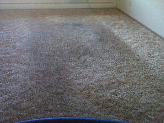 Commercial Carpet Cleaning - We have clients for which we clean common areas in their apartment buildings, other commercial business spaces or offices. We are looking to add more commercial clients. Please give us a call and we will be happy to put a quote together for you. Commercial Carpet Cleaning - We have clients for which we clean common areas in their apartment buildings, other commercial business spaces or offices. We are looking to add more commercial clients. Please give us a call and we will be happy to put a quote together for you.