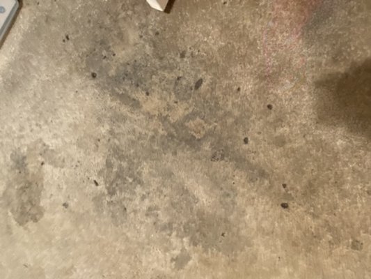 Carpet  Deep cleaning - My first carpet cleaning job. Customer was VERY pleased...