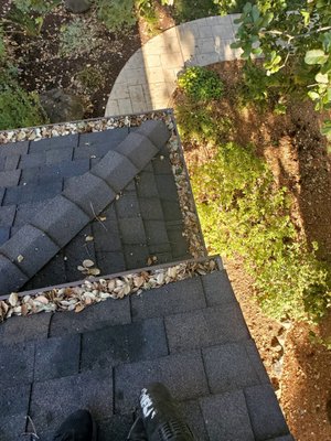 Gutter Cleaning - Client needed gutters cleaned to get ready for the rainy months. There where tress surrounding the property that made an accumulation of leaves in gutters.  We got it all cleaned up to prevent any damage to the roof.