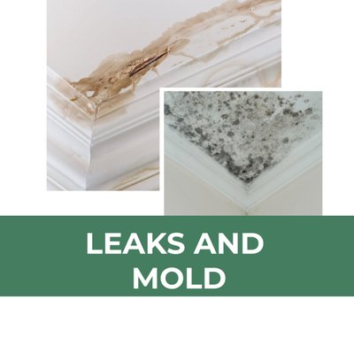 Leaks and Mold - Don't wait—protect your property and health today! Our expert team specializes in identifying and fixing leaks, as well as eliminating mold at its source. Say goodbye to damage and hello to a saf Leaks and Mold - Don't wait—protect your property and health today! Our expert team specializes in identifying and fixing leaks, as well as eliminating mold at its source. Say goodbye to damage and hello to a saf