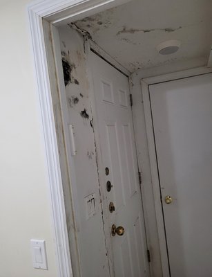 Double leak restoration and rebuild - at no cost to customer! - There was 2 leaks in this house 
Tenant on top floor had a leak that came through to the kitchen 
the customer also had a leak from their porch that went to the living room and doors

They called their insurance, and they did not want to approve the first floor. And only wanted to approve the kitchen. 

They called us to remove the mold, and we advised them to use our adjuster to help deal with the insurance. 
Our adjuster was able to get the whole job covered. 

We contained the moldy area. 
We cut out all the affected sheetrock and doors
We Disinfected beams and any are we couldn't remove with an antimicrobial agent
Disinfect the air
This customer requested that we rebuild, so we did