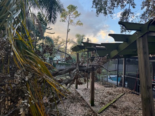 Fallen Tree Limb and Broken Pergola Removal - This customer asked that we remove a tree limb that fell on their pergola, and then subsequently removed the broken pergola. Fallen Tree Limb and Broken Pergola Removal - This customer asked that we remove a tree limb that fell on their pergola, and then subsequently removed the broken pergola.