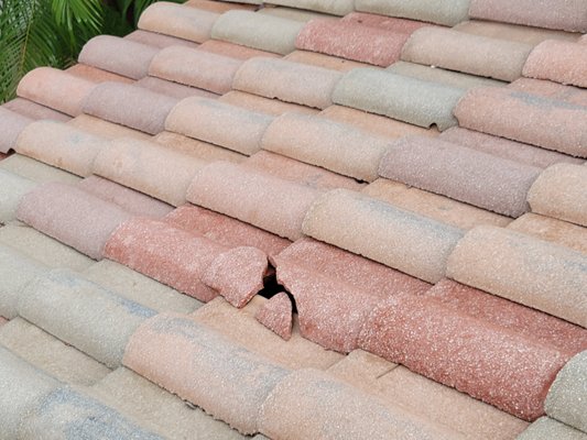 Roof & Attic Inspection - Full Inspections offer a complete systematic check of the major components of a house including the grounds, foundation, roof, attic, electrical system, plumbing and water heater, air conditioning and ventilation, and even major appliances. Roof & Attic Inspection - Full Inspections offer a complete systematic check of the major components of a house including the grounds, foundation, roof, attic, electrical system, plumbing and water heater, air conditioning and ventilation, and even major appliances.