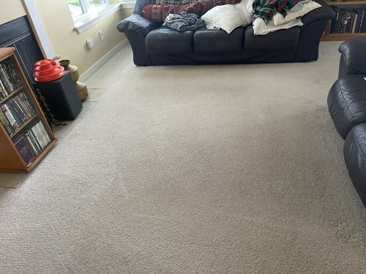 Carpet Cleaning - Major Stain Removal! - This carpet had not been cleaned in years and had some seriously deep stains throughout the living room. We cleaned and deodorized the entire home, left it fresh and clean for the owners! Carpet Cleaning - Major Stain Removal! - This carpet had not been cleaned in years and had some seriously deep stains throughout the living room. We cleaned and deodorized the entire home, left it fresh and clean for the owners!