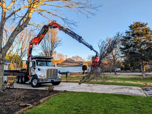 3 Tree's Removed Using Tree-Mek - Thanks to the versatility of our crane, we were able to remove the trees without driving a vehicle onto the client's lawn or even stepping foot on their grass. This allowed us to complete the job with minimal impact to the property and ensured the safety of our team and the client's home.

After the trees were removed, we cleaned up the site and chipped all of the wood, leaving the yard looking as good as new. Our commitment to providing top-quality service, combined with our state-of-the-art equipment, allows us to provide the best possible tree removal experience for our clients.

So, if you're in need of tree removal services, look no further than Seasoned Tree Care. Contact us today to schedule your appointment and see for yourself why we're the best in the business!