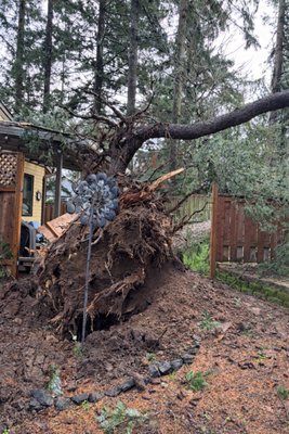 Emergency tree removal services - Recent high winds can weaken or damage trees, even if issues aren’t immediately visible. Leaning, cracked, or fallen trees pose a serious risk to your home, fence, and property if left untreated.
We offer emergency tree removal and cleanup services to help protect your property and restore safety after the storm.
📞 Contact us today for prompt, professional assistance and a free assessment.
503-757-1608 Emergency tree removal services - Recent high winds can weaken or damage trees, even if issues aren’t immediately visible. Leaning, cracked, or fallen trees pose a serious risk to your home, fence, and property if left untreated.
We offer emergency tree removal and cleanup services to help protect your property and restore safety after the storm.
📞 Contact us today for prompt, professional assistance and a free assessment.
503-757-1608