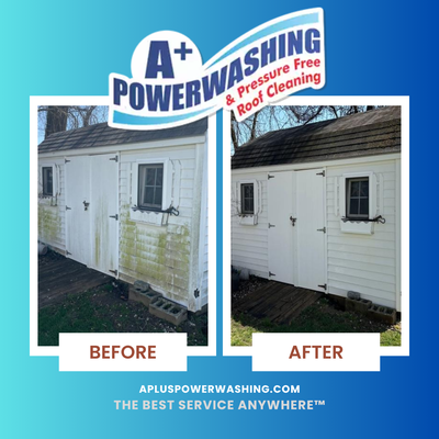 36 Years of Premium Power Washing - Don't trust your biggest investment to a cold-water splash and dash. We use commercial-grade hot water systems and proprietary, pet-safe blends to safely remove mold at the root—without raw bleach. Fully insured, strictly contained, and guaranteed. 36 Years of Premium Power Washing - Don't trust your biggest investment to a cold-water splash and dash. We use commercial-grade hot water systems and proprietary, pet-safe blends to safely remove mold at the root—without raw bleach. Fully insured, strictly contained, and guaranteed.