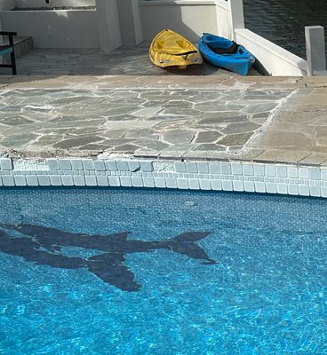 Pool Stone Deck and Tile Waterline Restoration - Honolulu Oahu Hawaii - Project Overview
Neptune Pool and Spa Service undertook a comprehensive pool enhancement project in Honolulu, Oahu, featuring pool heater installation, pool stone deck restoration, pool waterline tile refurbishment, and a pool light fixture repair.
Problem
The client's pool required multiple upgrades, including the installation of a new pool heater for year-round comfort, pool deck restoration, pool waterline retile, and fixing a malfunctioning light fixture to ensure safety and ambiance.
Solution
Our skilled team efficiently addressed each concern, starting with the installation of a pool heater to provide optimal temperature control. The stone deck was then carefully restored to its original beauty matching surrounding stone. We replaced the waterline tiles with high-quality materials for a fresh, updated appearance, and we concluded the project by repairing the light fixture, enhancing both the functionality and aesthetic appeal of the pool. Pool Stone Deck and Tile Waterline Restoration - Honolulu Oahu Hawaii - Project Overview
Neptune Pool and Spa Service undertook a comprehensive pool enhancement project in Honolulu, Oahu, featuring pool heater installation, pool stone deck restoration, pool waterline tile refurbishment, and a pool light fixture repair.
Problem
The client's pool required multiple upgrades, including the installation of a new pool heater for year-round comfort, pool deck restoration, pool waterline retile, and fixing a malfunctioning light fixture to ensure safety and ambiance.
Solution
Our skilled team efficiently addressed each concern, starting with the installation of a pool heater to provide optimal temperature control. The stone deck was then carefully restored to its original beauty matching surrounding stone. We replaced the waterline tiles with high-quality materials for a fresh, updated appearance, and we concluded the project by repairing the light fixture, enhancing both the functionality and aesthetic appeal of the pool.