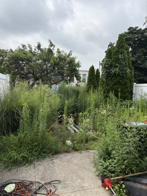 Backyard cleanup - 🌿 From Jungle to Clean Patio — We Did It Again! 🌿
Sometimes a backyard can get so overgrown, it feels like there’s no way out…
But that’s where we come in 💪
✅ We cleared out all the overgrown weeds and bushes
✅ Trimmed around the patio and fence
✅ Cleaned and opened up the space
✅ And of course — we took all the green waste with us
Now it’s not just a yard — it’s a usable, peaceful space again. Backyard cleanup - 🌿 From Jungle to Clean Patio — We Did It Again! 🌿
Sometimes a backyard can get so overgrown, it feels like there’s no way out…
But that’s where we come in 💪
✅ We cleared out all the overgrown weeds and bushes
✅ Trimmed around the patio and fence
✅ Cleaned and opened up the space
✅ And of course — we took all the green waste with us
Now it’s not just a yard — it’s a usable, peaceful space again.