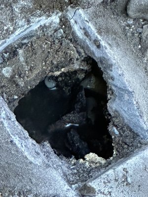 Removing roots from a sewer line - We were called out to figure out why the laundry was backing up in to the shower and the toilet wasn’t flushing properly. After running a cable down about 10 ft the water began to slowly drain and a big ball of roots weee retrieved. After the camera inspection we seen the roots in the pipe and the customer then hired us to do the excavation and repair Removing roots from a sewer line - We were called out to figure out why the laundry was backing up in to the shower and the toilet wasn’t flushing properly. After running a cable down about 10 ft the water began to slowly drain and a big ball of roots weee retrieved. After the camera inspection we seen the roots in the pipe and the customer then hired us to do the excavation and repair
