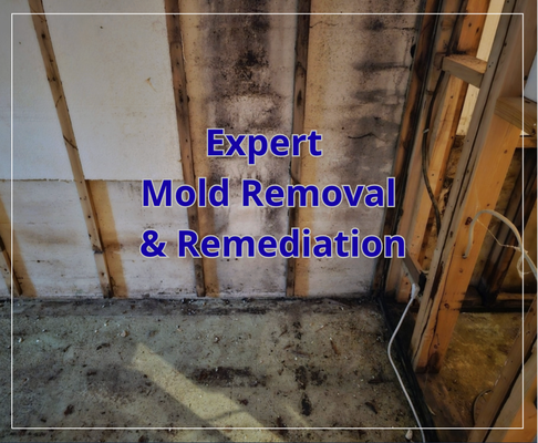 Mold Remediation - The photos below show the extent of damage caused by a hidden leak from a hot water pipe. Because the leak went unnoticed for some time, it resulted in a significant mold loss. Our team was called in to assess and mitigate the damage, ensuring the affected areas were safely and thoroughly remediated.