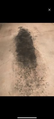 Oil stain removal - 10+ year old oil stain removal Oil stain removal - 10+ year old oil stain removal