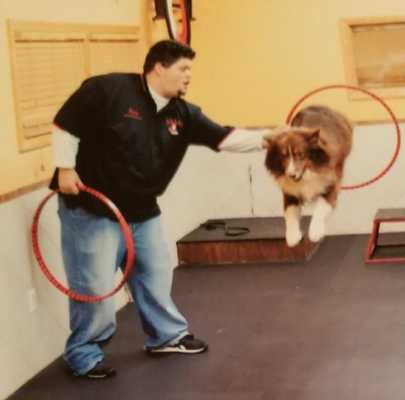 Meet Danny Mojica - Danny Mojica has been training dogs for over 19 years. A Brooklyn-born native who attended Hofstra University, he began his apprenticeship in 2004 at C & G K-9 where he learned hands-on how to deal with all aspects of dog training. He has worked very passionately and closely with his father-in-law, an expert dog trainer over 40 years.
Danny has trained thousands of dogs over the years, working with countless breeds and designer breeds. He takes pride in waking up each morning doing what he enjoys most — training, educating, and creating a safe environment for your dog. His passion is correcting unwanted behavior in dogs and training humans to positively connect with their dogs.
The Training Center provides personalized training classes at Danny's home or dog training in the comfort of your own home. They also offer day school programs as well as overnight training programs. Each program is as individualized as your pet and programs will be tailored to your pet's needs. Call (516) 544-4777 to schedule your class today. Meet Danny Mojica - Danny Mojica has been training dogs for over 19 years. A Brooklyn-born native who attended Hofstra University, he began his apprenticeship in 2004 at C & G K-9 where he learned hands-on how to deal with all aspects of dog training. He has worked very passionately and closely with his father-in-law, an expert dog trainer over 40 years.
Danny has trained thousands of dogs over the years, working with countless breeds and designer breeds. He takes pride in waking up each morning doing what he enjoys most — training, educating, and creating a safe environment for your dog. His passion is correcting unwanted behavior in dogs and training humans to positively connect with their dogs.
The Training Center provides personalized training classes at Danny's home or dog training in the comfort of your own home. They also offer day school programs as well as overnight training programs. Each program is as individualized as your pet and programs will be tailored to your pet's needs. Call (516) 544-4777 to schedule your class today.